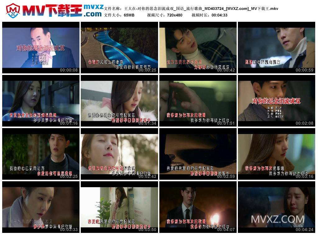 王大在-对你的思念泪流成双_国语_流行歌曲_MD403724